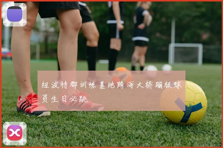 纽波特郡训练基地跨海大桥蹦极球员生日必跳