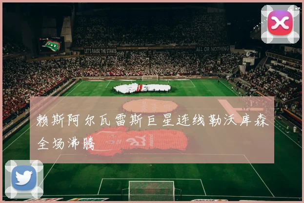 赖斯阿尔瓦雷斯巨星连线勒沃库森全场沸腾