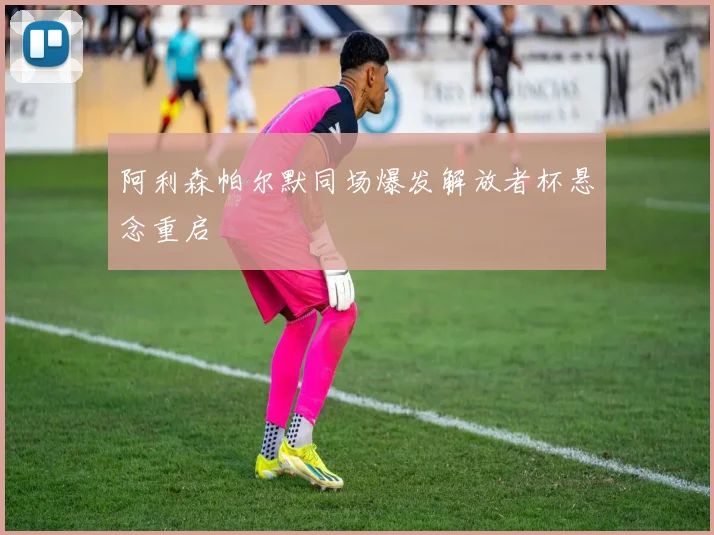 阿利森帕尔默同场爆发解放者杯悬念重启